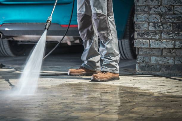 Best Soft Washing  in Portland, IN