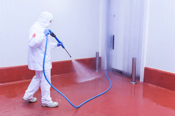 Best Patio and Deck Pressure Washing  in Portland, IN